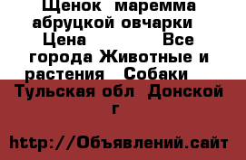 Щенок  маремма абруцкой овчарки › Цена ­ 50 000 - Все города Животные и растения » Собаки   . Тульская обл.,Донской г.